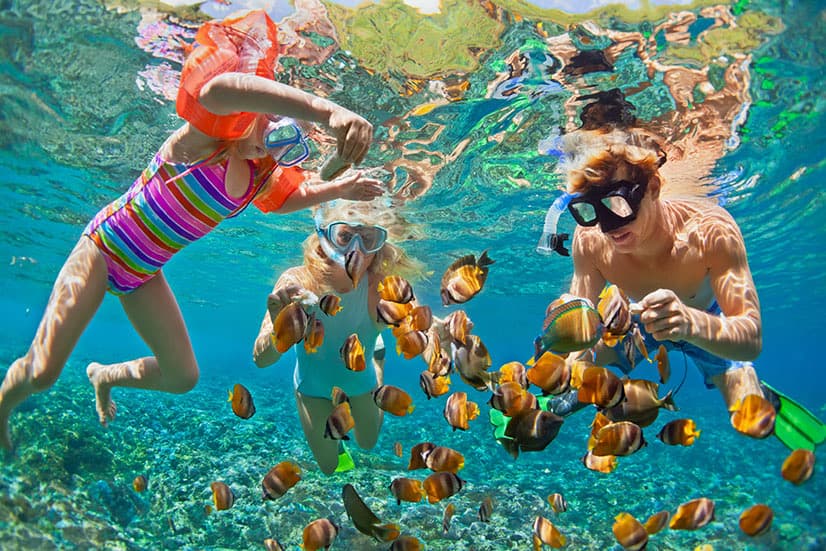 A family snorkeling among tropical fish in clear turquoise water